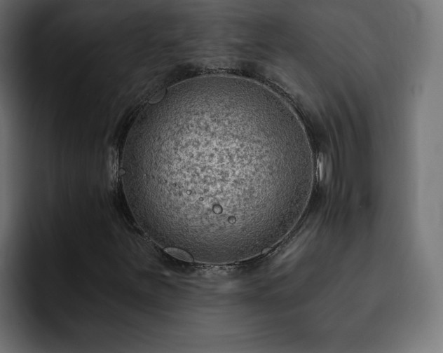 X0000093111251200710031310