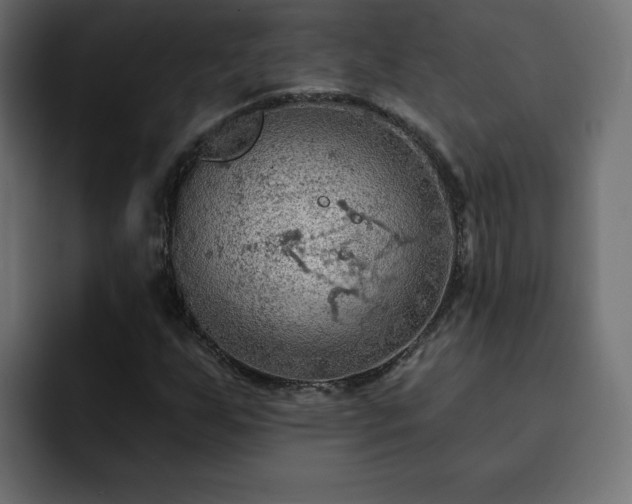 X0000093111255200710031310