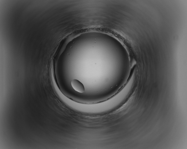 X0000093111257200710031310