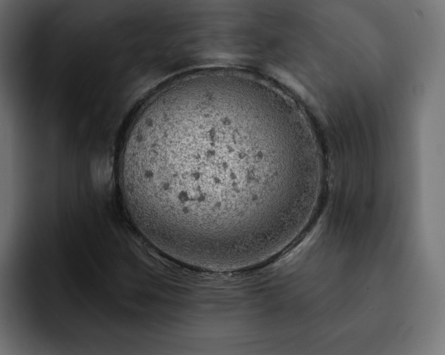 X0000093111259200710031310