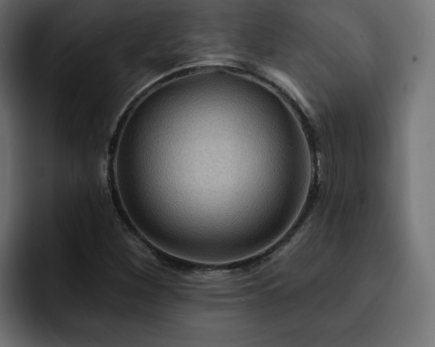 X0000093111260200710031310