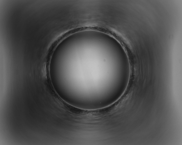 X0000093111262200710031309