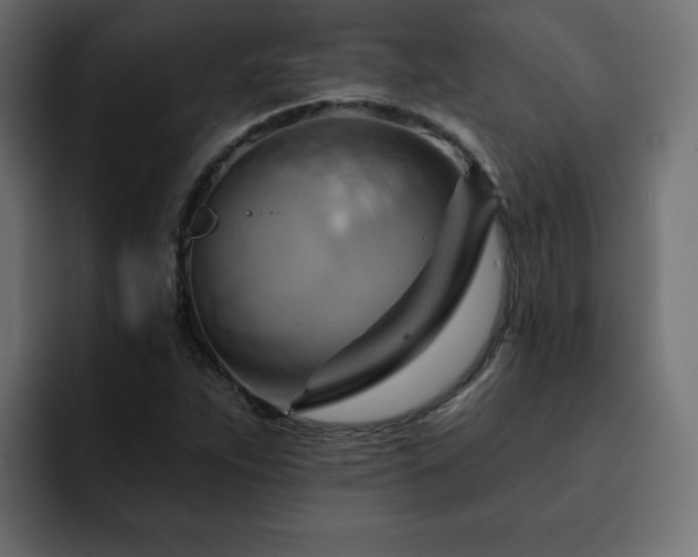 X0000093111263200710031309
