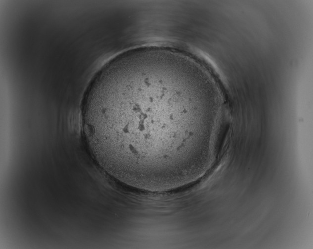 X0000093111267200710031309
