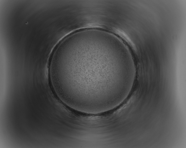 X0000093111268200710031309