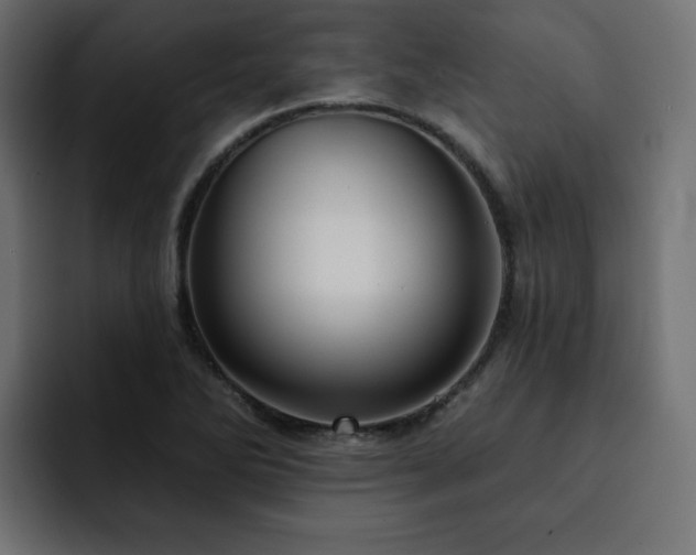 X0000093111270200710031309