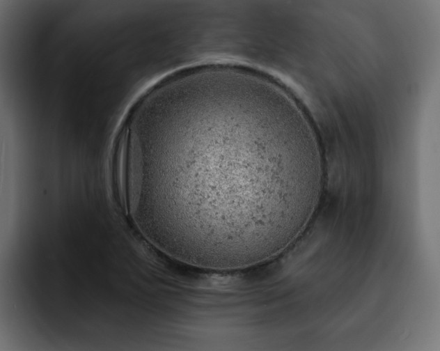 X0000093111271200710031309