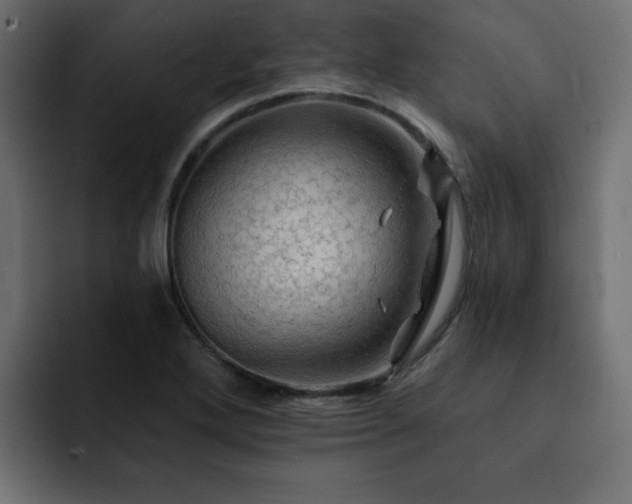 X0000093111272200710031309
