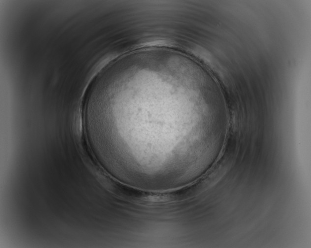 X0000093111274200710031309