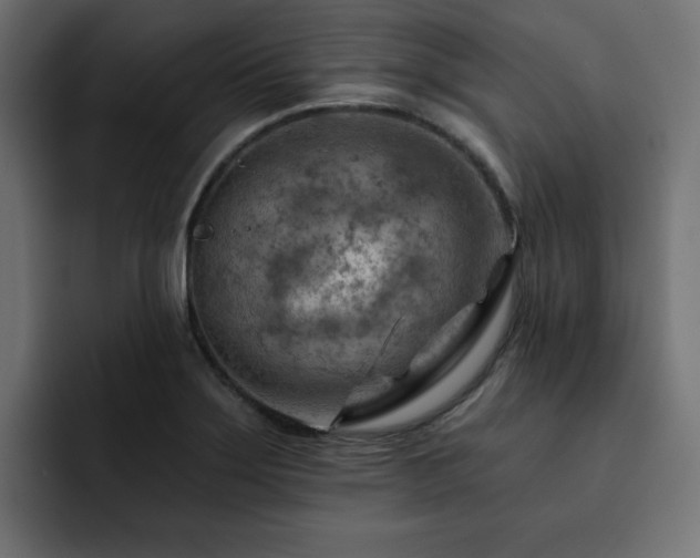 X0000093111275200710031309