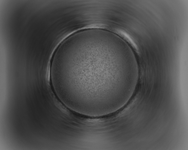 X0000093111276200710031309