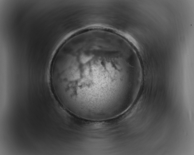 X0000093111279200710031309