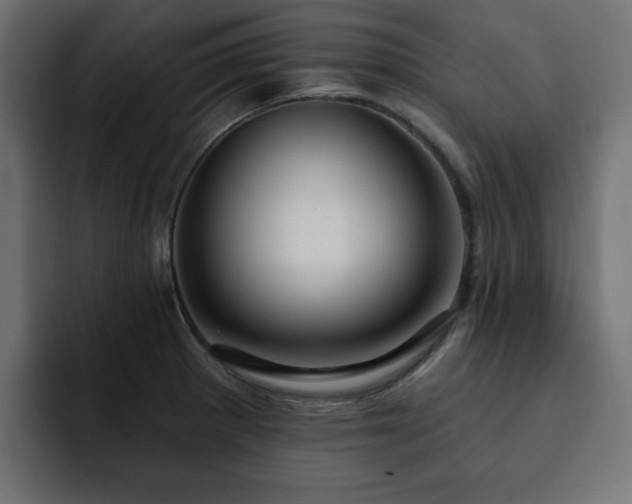 X0000093111281200710031309
