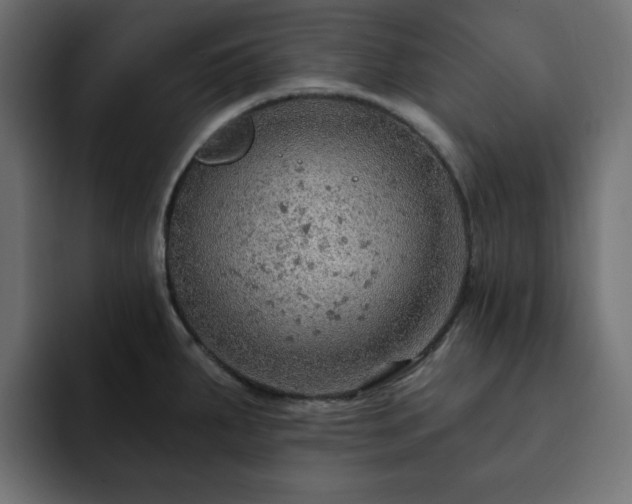X0000093111287200710031309