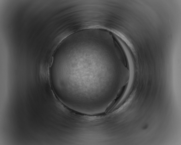 X0000093111289200710031309