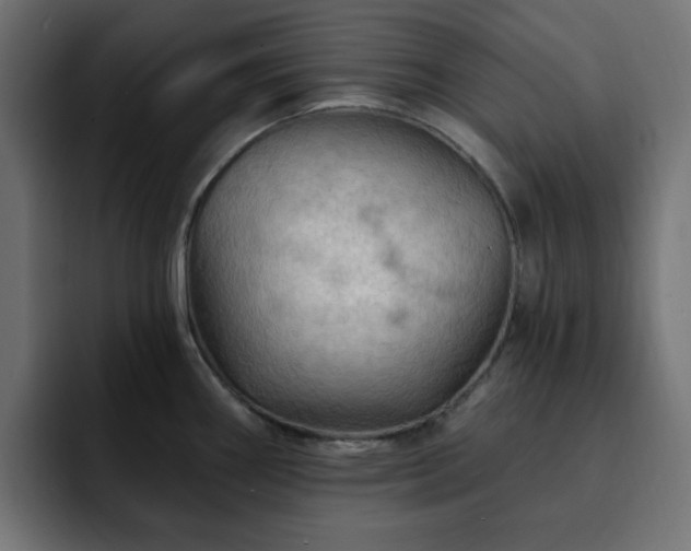 X0000093111290200710031309