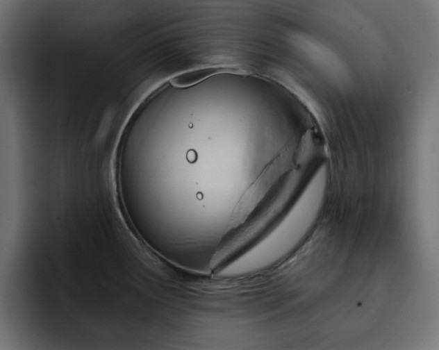 X0000093111291200710031309
