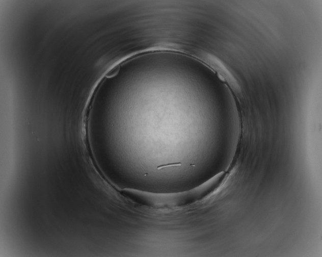 X0000093111292200710031309