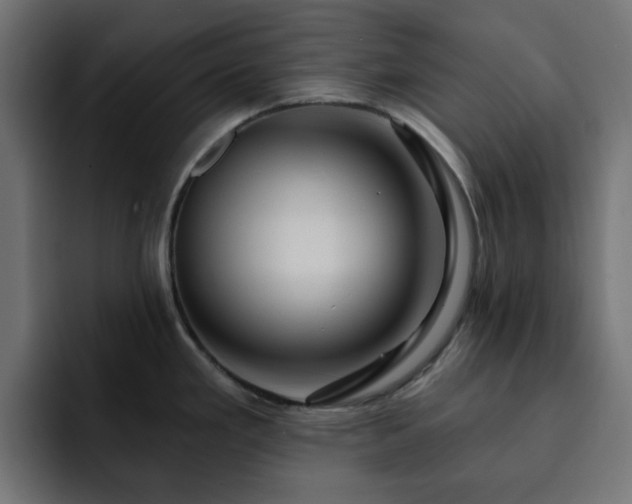 X0000093111293200710031309