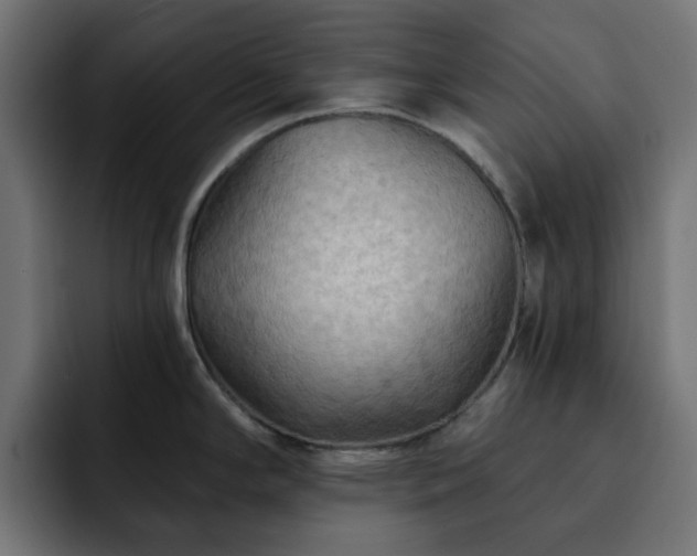 X0000093111294200710031309