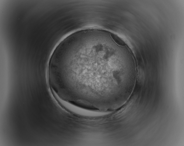 X0000093111295200710031309