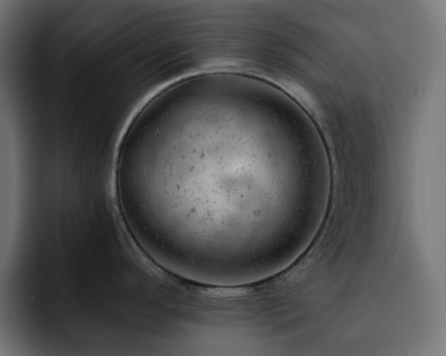 X0000093111296200710031309