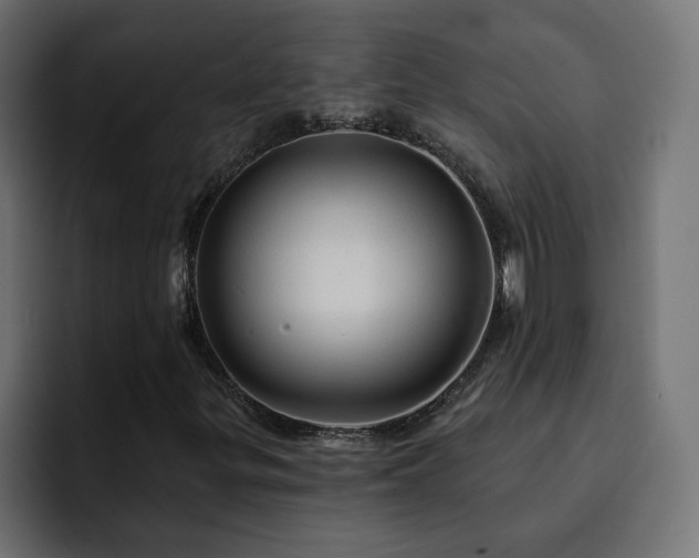 X0000093111299200710031309