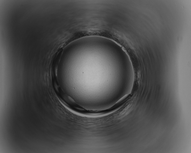 X0000093111300200710031309