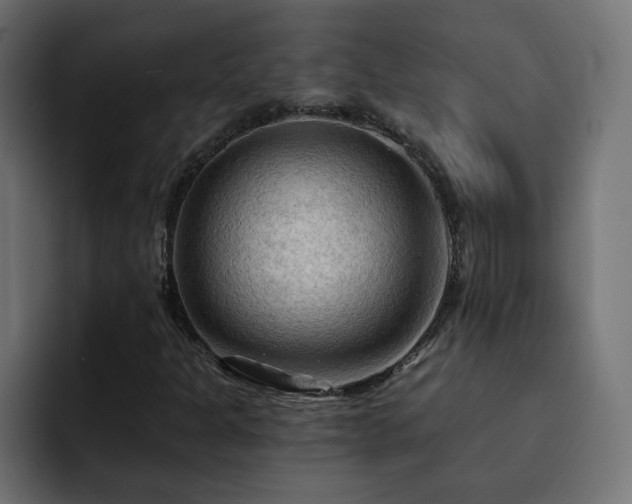 X0000093111301200710031309