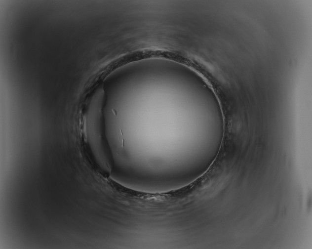 X0000093111303200710031309