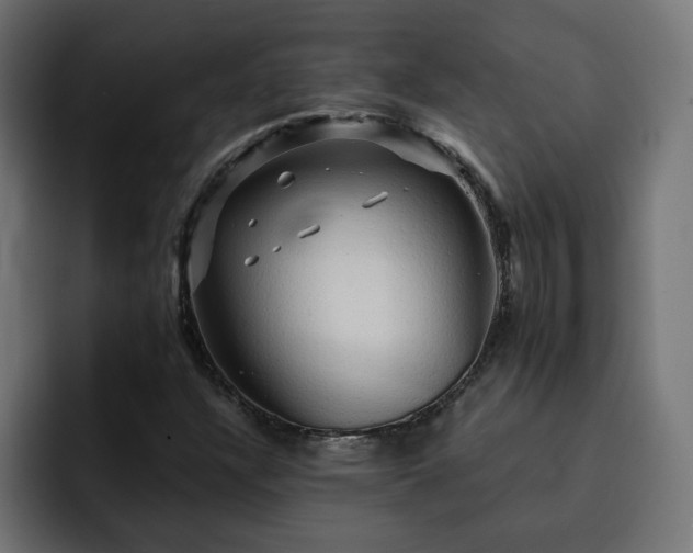 X0000093111304200710031309