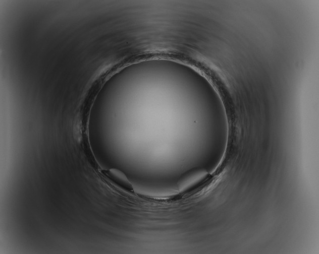 X0000093111306200710031309