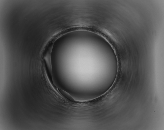 X0000093111307200710031309