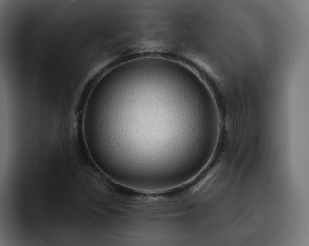 X0000093111309200710031309