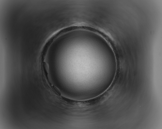 X0000093111311200710031309
