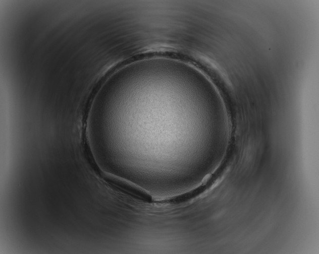X0000093111313200710031309