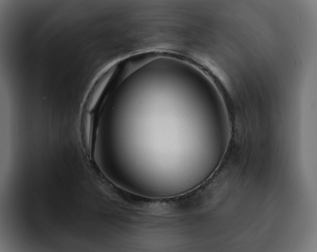 X0000093111316200710031309