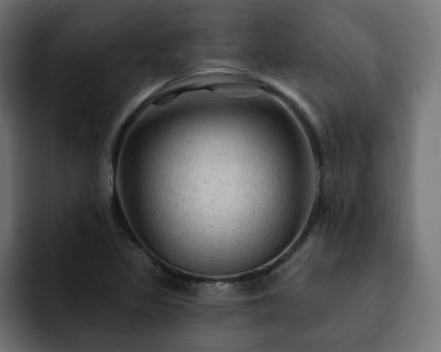 X0000093111317200710031309