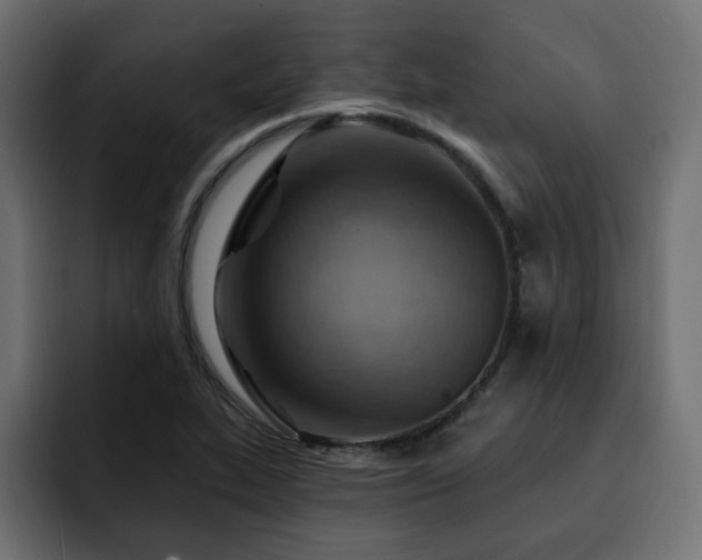 X0000093111319200710031309