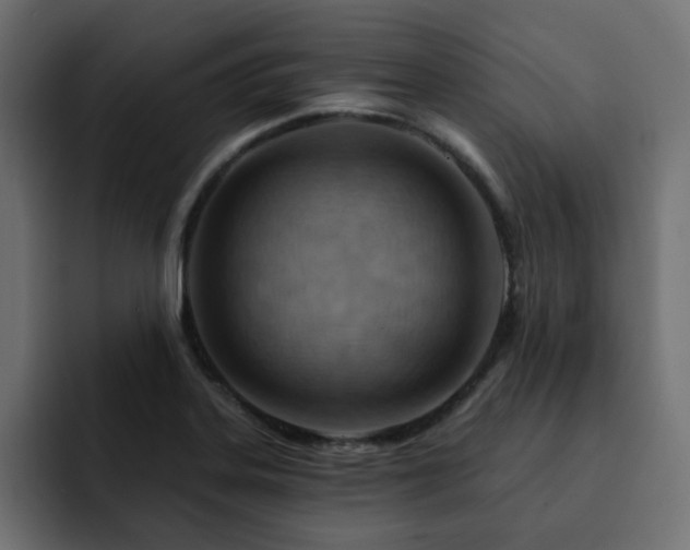 X0000093111323200710031309