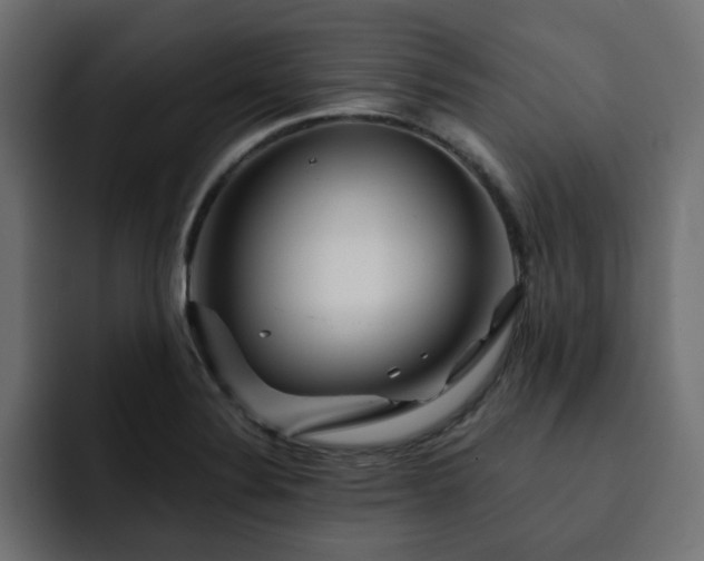 X0000093111324200710031309