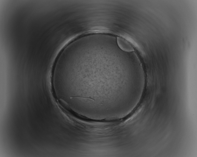 X0000093111325200710031309