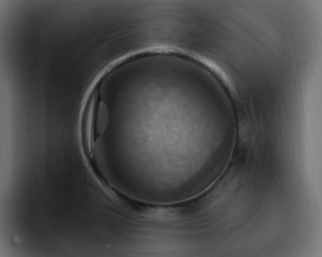 X0000093111327200710031309