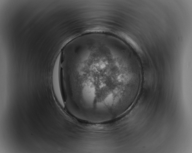 X0000093111329200710031309