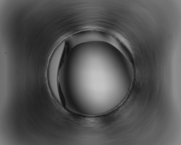 X0000093111330200710031309