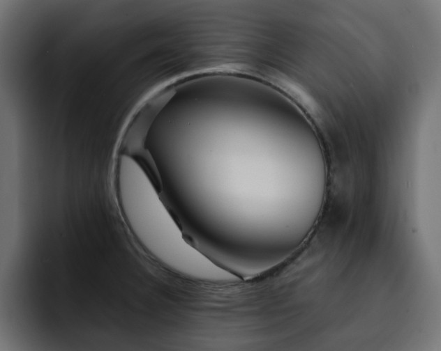 X0000093111332200710031309