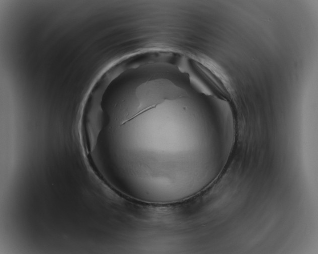 X0000093111334200710031309