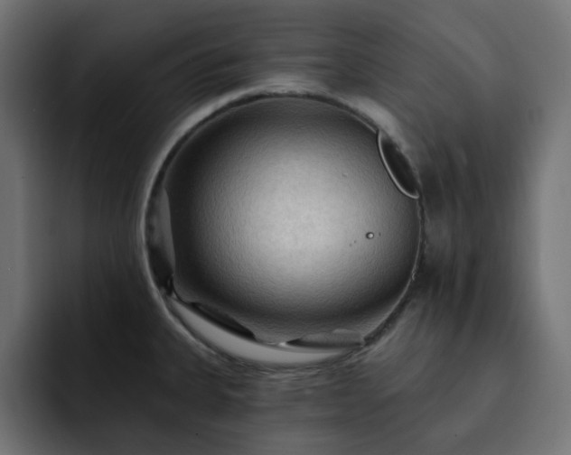X0000093111335200710031309