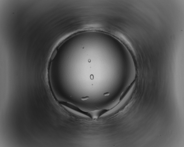 X0000093111336200710031309