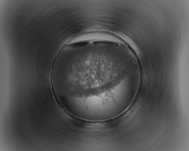 X0000093111337200710031309